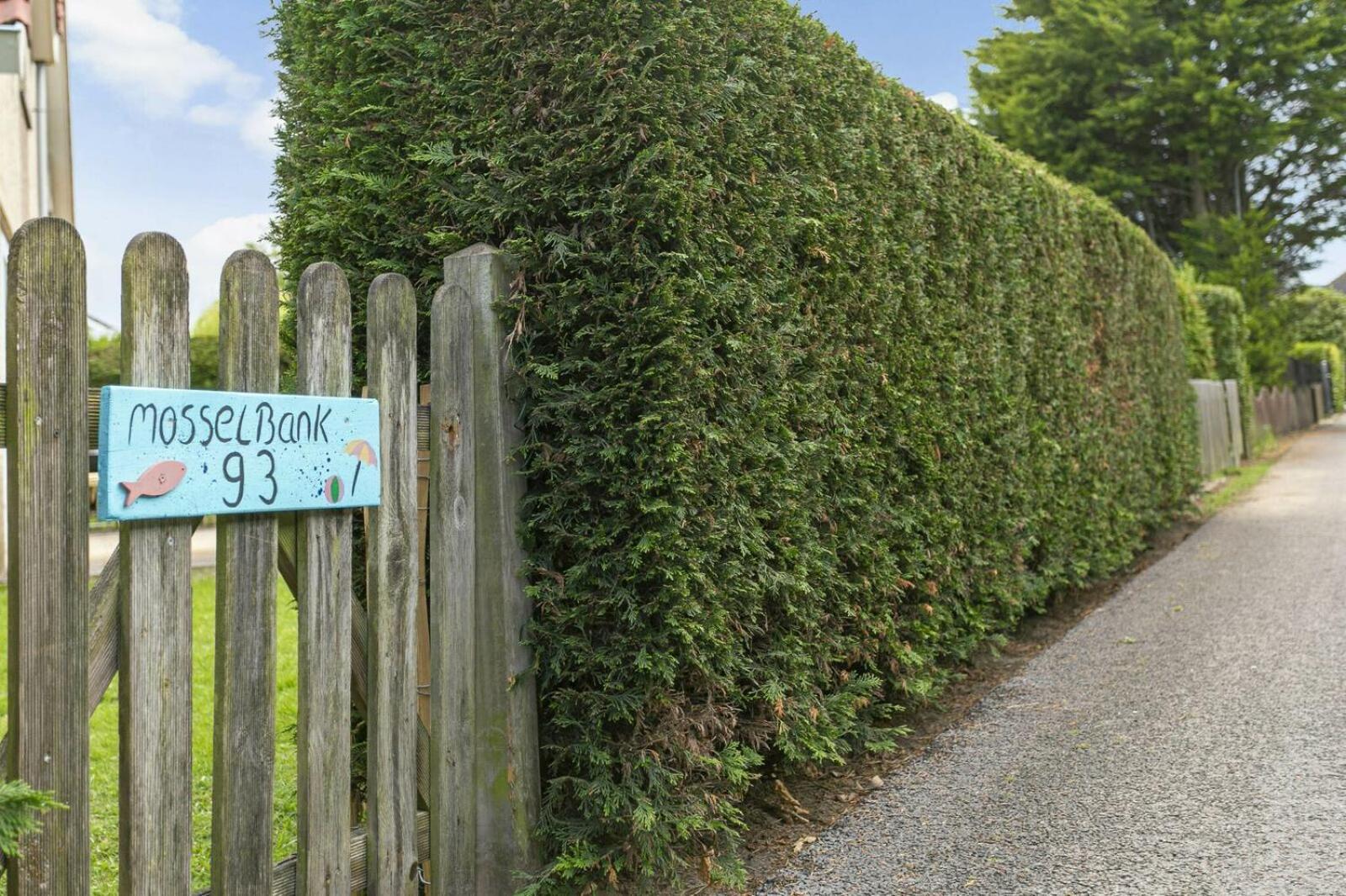 Mosselbank Beachside Retreat: Private Gardens Near Noordzeepark Ouddorp Exterior photo